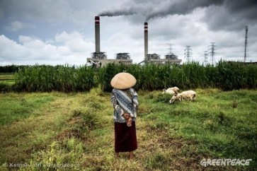 A shepherdess watches over her flock of sheep that graze near a coal power plant in Jepara, Central Java. 12/26/2012 © Kemal Jufri/ Greenpeace