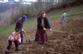 The Acet family prepare the soil before they plant potatoes on their land in Güzelyayla village, Turkey. ©IFAD/Susan Beccio - See more at: http://www.ifad.org/media/events/2014/wfw.htm#sthash.KON867jj.dpuf