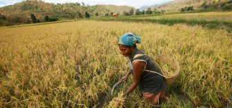 Photo source: UN Women