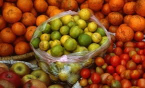 Micronutrient deficiencies lead to poor growth and ill health, including blindness, brain damage and early death. | Source: FAO