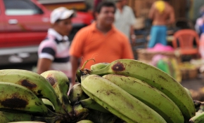 42 million children under 5 are overweight. More than 500 million adults are obese. | Source: FAO