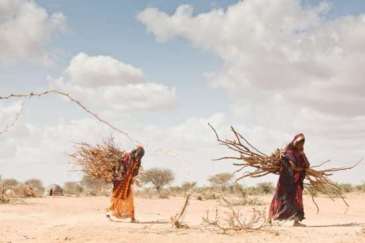 Climate change is a growing cause of displacement in Africa, where some areas have been devastated by drought. Photo: UNHCR/B. Bannon