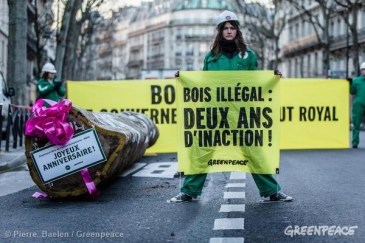 Credit: Pierre Baelen/Greenpeace