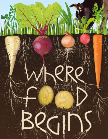 Healthy soils are essential to food security and play a critical role in the carbon cycle. Photo: FAO/Olivier Asselin