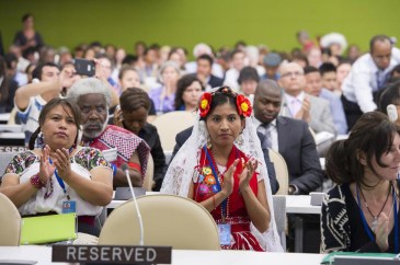 UN Permanent Forum on Indigenous Issues opens its 2014 session at UN Headquarters. UN Photo/Eskinder Debebe