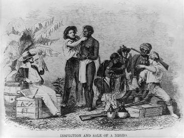 **The inspection and sale of a slave" | Author: Brantz Mayer | Wikimedia Commons