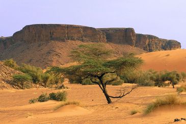 ***Mountains in the Adrar region. Desert scenes are characteristic of the Mauritanian landscape | Author: Original uploader was Manu25 at fr.wikipedia | Wikimedia Commons