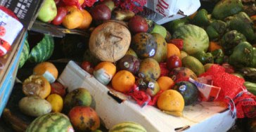 One-third of all food produced worldwide is lost or wasted. Credit: FAO