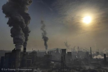 Credit: Lu Guang/Greenpeace