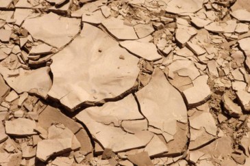 Example of good fertile earth that has dried and cracked from lack of rain. Photo: FAO/Jeanette Van Acker