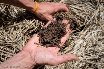 Photo credit: Emile Loreaux/Greenpeace