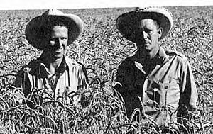 Norman Borlaug and agronomist George Harrer in 1943.