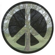 Image source: Greepeace