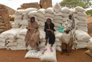 Women sitting on sacks of rice and maize in Wajir, Kenya. | FAO