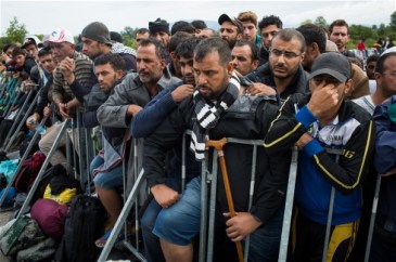 ****Photo: Andrei Pungovschi/IRIN Migrants and refugees at Croatia's border with Slovenia wait for a bus to take them into Slovenia