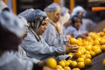 11-02-2015Food_Safety