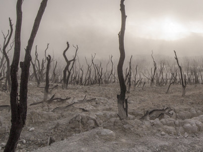 Climate-change-is-one-of-the-most-urgent-global-problems-that-should-be-addressed-in-a-timely