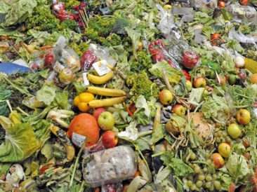 Food-waste-quickly-generates-methane