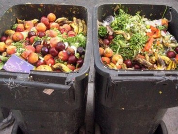 Fruits-and-vegetables-plus-roots-and-tubers-have-the-highest-wastage-rates-of-any-food