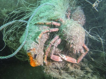 The-amount-of-fishing-gear-remaining-in-the-marine-environment-will-continue-to-accumulate-and