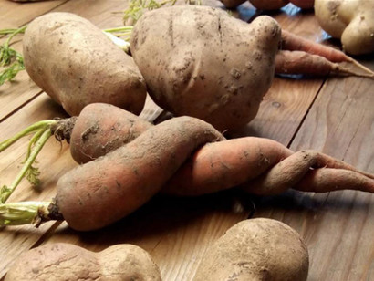 Ugly-carrots-and-potatoes