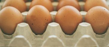 eggs-933722_1920_1