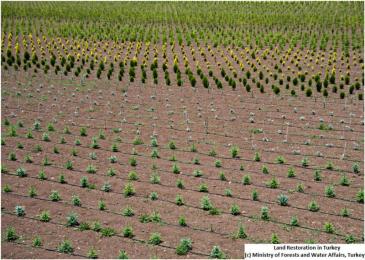 Land Restoration in Turkey