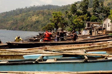 medium_a1d9a22e68a586300bc232c0fde29728