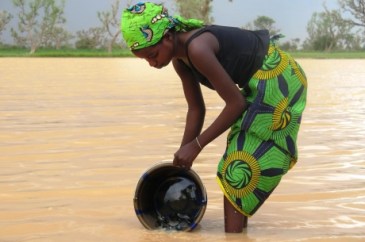 medium_a9e465bf6962cb9af3ef2b809c54a042