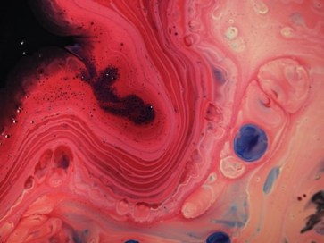 Staticism-breaks-the-dynamics-generating-the-permanence-of-the-Ground