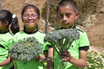 medium_8cf309b75dcf154784ff135940775411