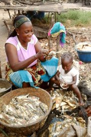Senegal_FishDrying_September2015_59_300x450