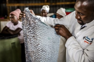 medium_09c4812e053a820dec25dff6c48f2e80