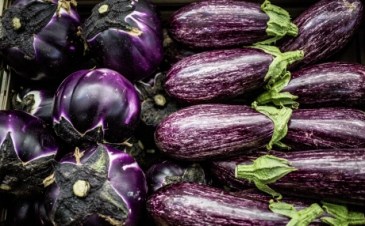 medium_dbe2e9c20e9666cea524a1266543ed95