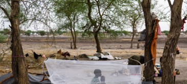 image1170x530cropped