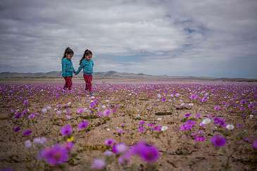 6756b0ba-03_tamaramerino-greenpeace-iwd-blog-510x340
