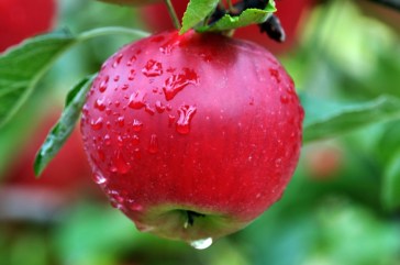 medium_73a9d9374f889ea79ab0b28f02a7a7c1