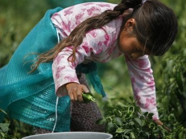 1-in-4-victims-of-modern-slavery-are-children