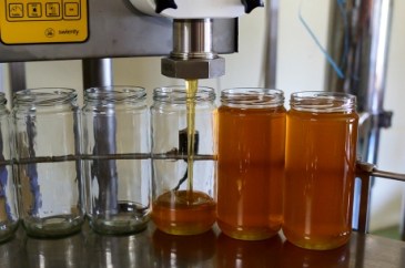 medium_9892dbf26a041419e6a46c6d43fc65d7