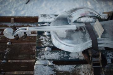 Protect the Oceans - Ice Concert