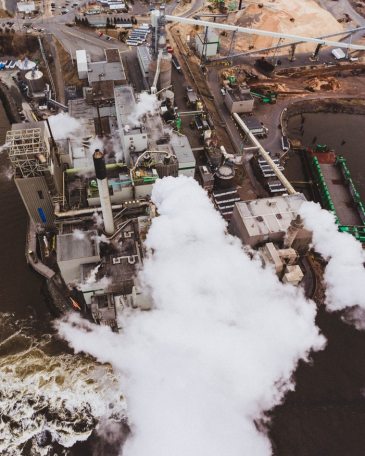 photo-1522891187-3a9051cbd1ef