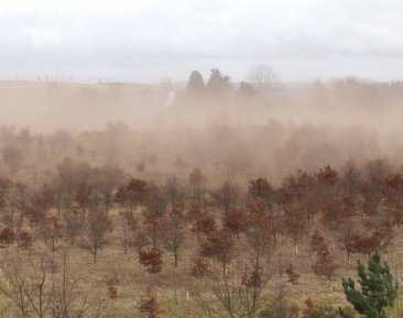 KONICA MINOLTA DIGITAL CAMERA