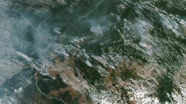 brazilfires_virs_2019225_lrg