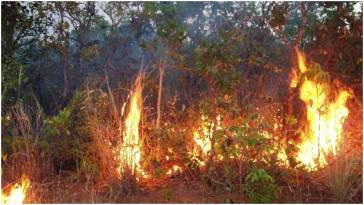 fire-in-the-Amazon_