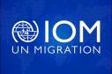 IOM-logo-standin