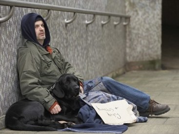 Poor-whites-are-labeled-and-stereotyped-as-belonging-to-the-lowest-class-of-the-American-social