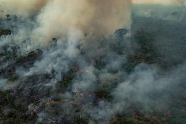 Amazon Burning