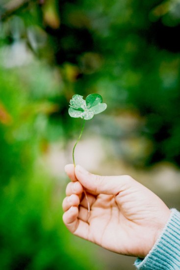 Four-leaf-clover