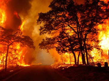 Effects-of-global-warming