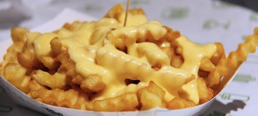 image1170x530cropped